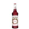 Monin Cranberry/Airelles Syrup 0.7L Syrup-canava