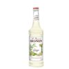 Monin Ginger Syrup 0.7L Syrup-canava