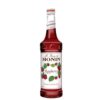 Monin Rasberry/Fraboise Syrup 0.7L Syrup-canava