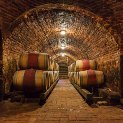 9 ιστορικά γεγονότα για 8 κόκκινα κρασιά-canava