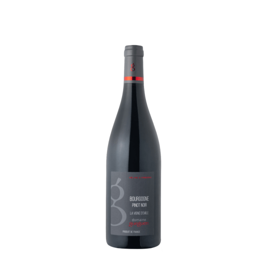 Domaine Gueguen Bourgogne Pinot Nero 2020 0.75L Vino Rosso Secco-canava